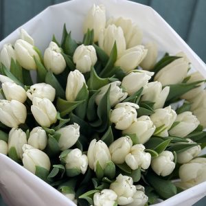 White tulips